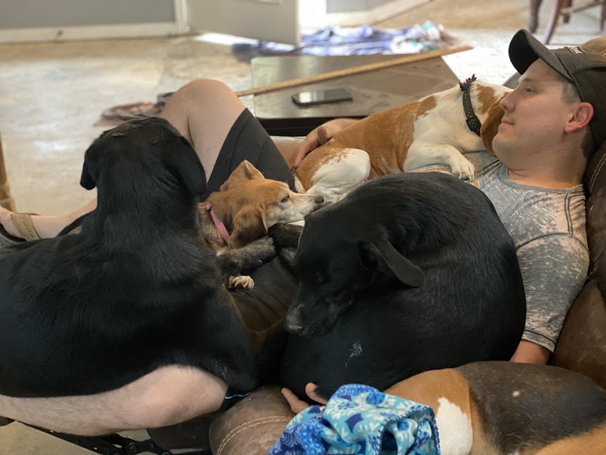 A lapful of snuggly puppies is a pretty frequent occurrence.