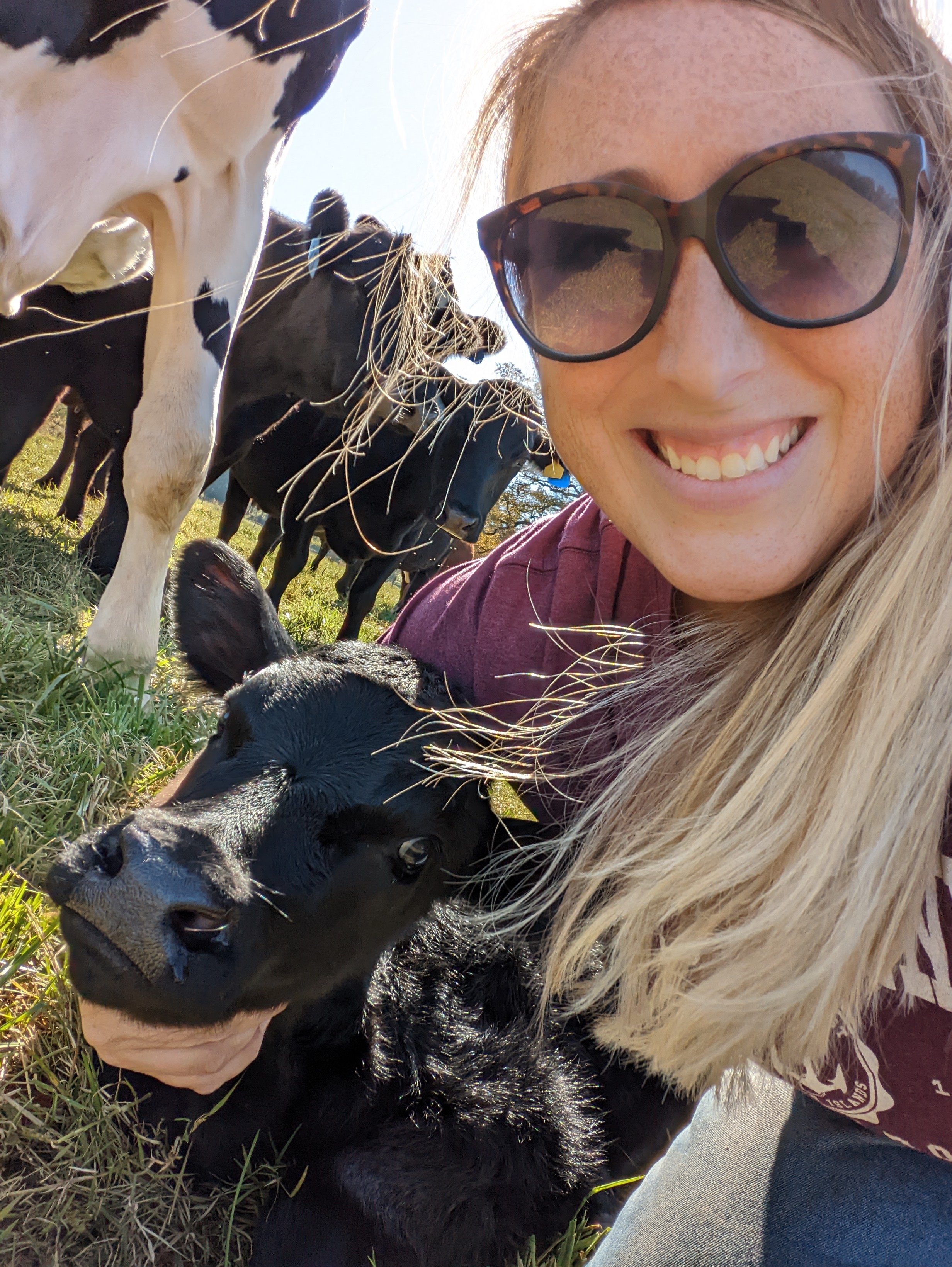 Ashley loves when new baby calves are born