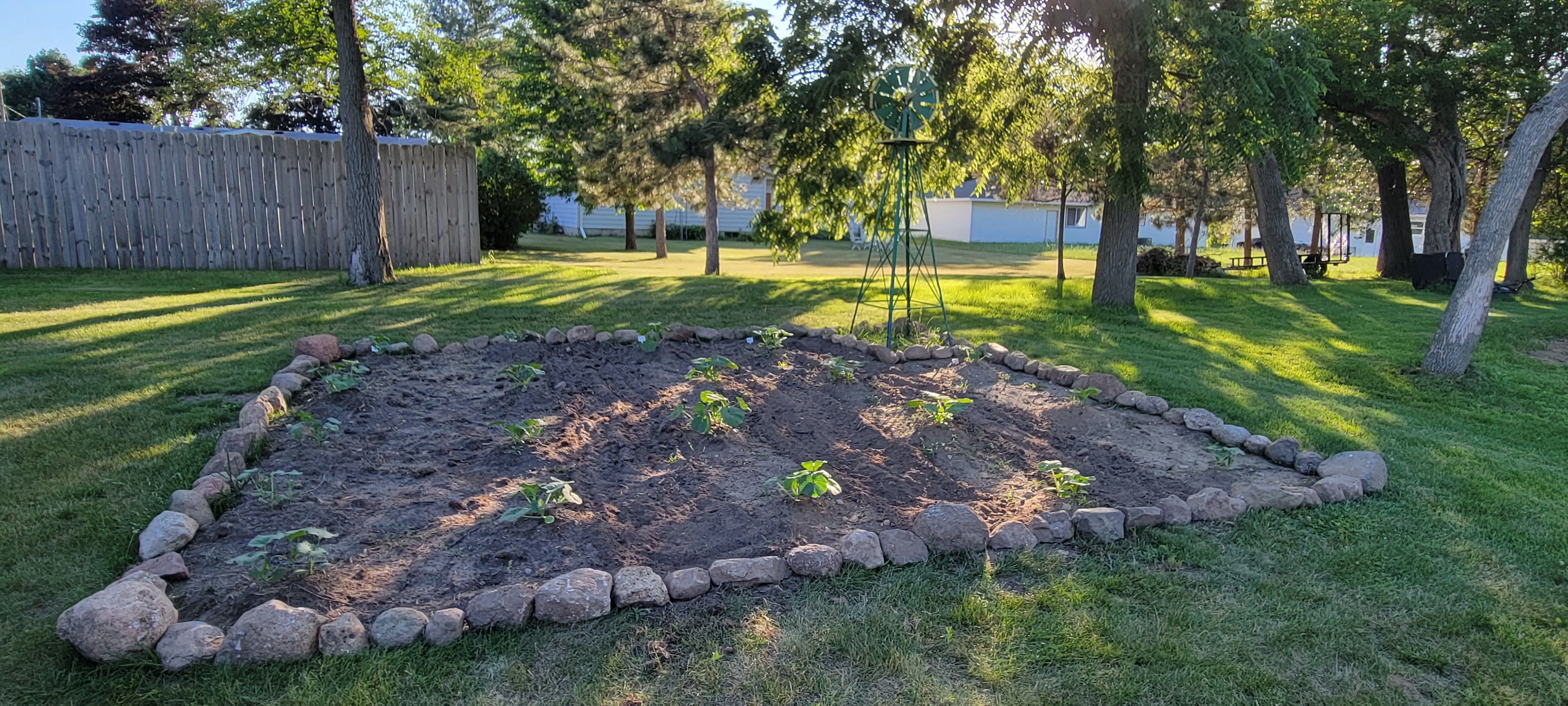 We have a pumpkin patch in our back yard. We plan to try and grow other things too.